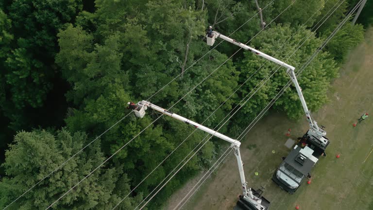 Best Utility Line Clearance  in Four Corners, MT